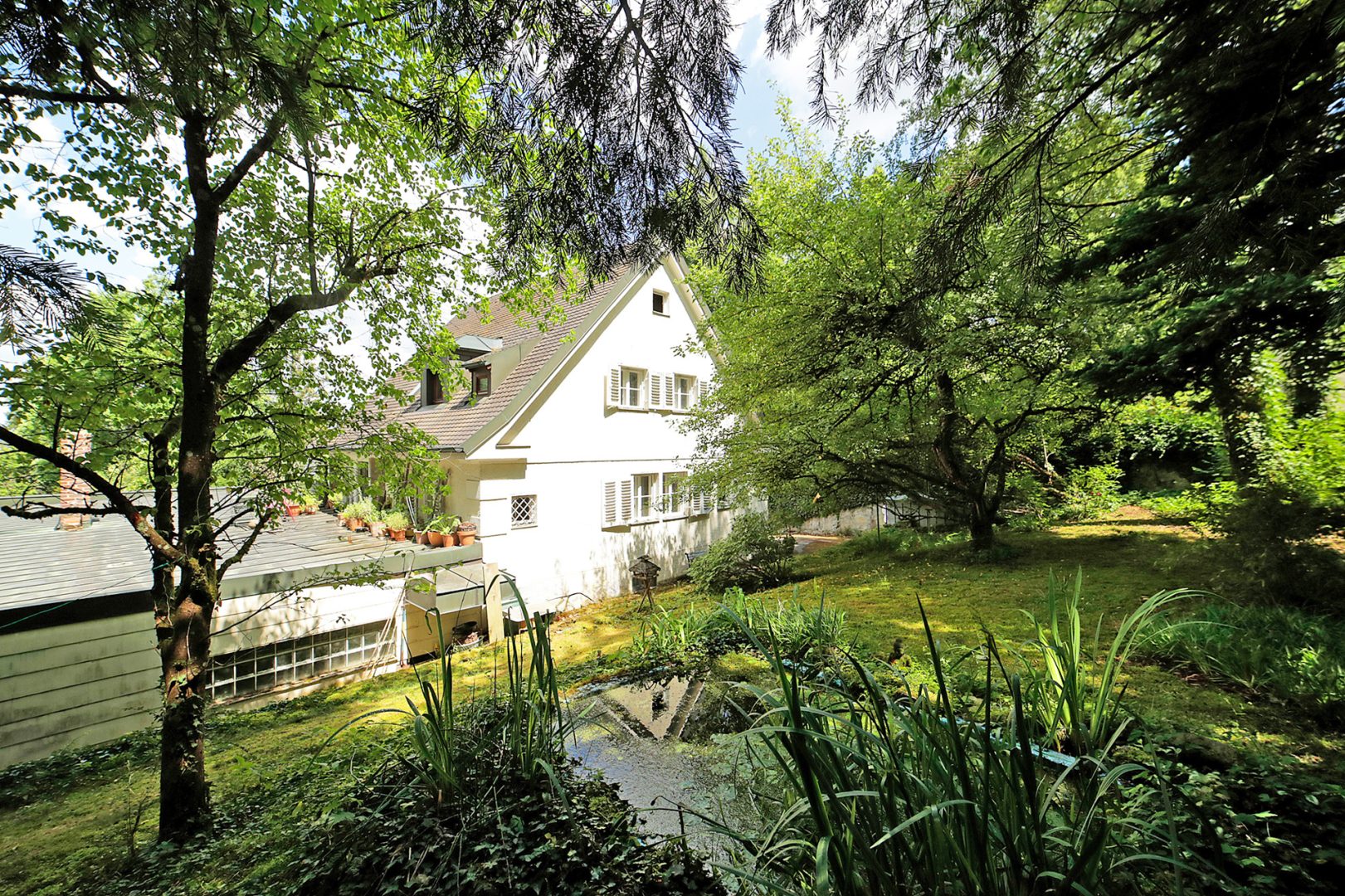 Rückseite